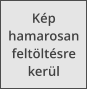 K�p hamarosan felt�lt�sre ker�l